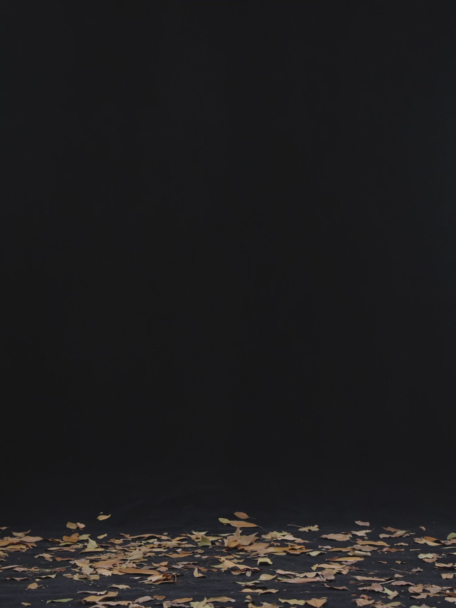 PELLIOT - Chaleco Primaloft Aerogel