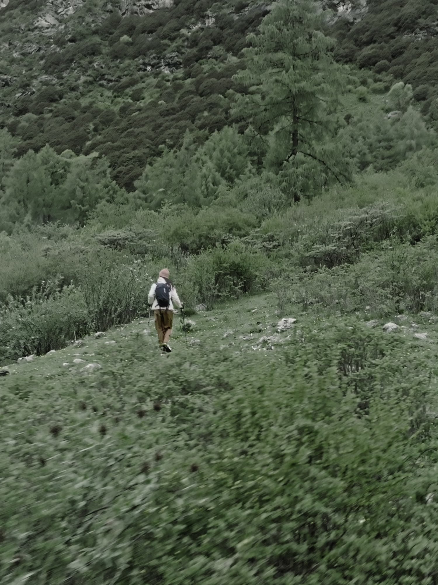 PELLIOT - Campera Impermeable 3 en 1